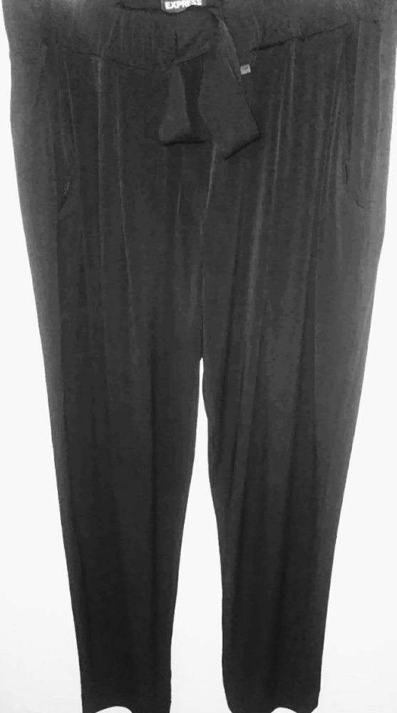 Express Elastic Waist Tie Pants Size L